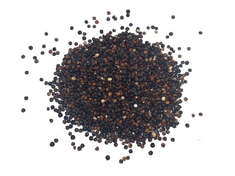 Resultado de imagen de imagenes de quinoa negra