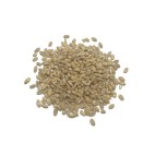Cebada en grano Eco (10gr)