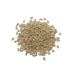 Cebada en grano Eco (100gr)