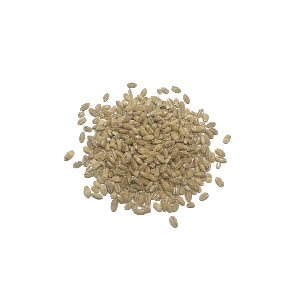 Cebada en grano Eco (10gr)